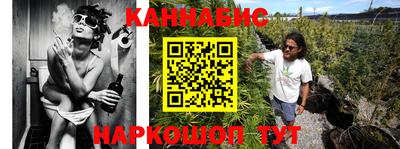 гашик Ливны