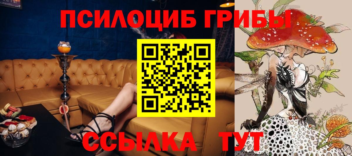 Галлюциногенные грибы Psilocybine cubensis  Галлюциногенные грибы MAGIC MUSHROOMS  Вход с VPN  Ефремов 