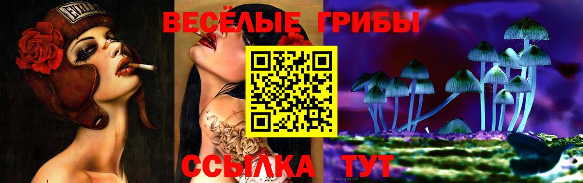 Псилоцибиновые грибы мицелий Ефремов